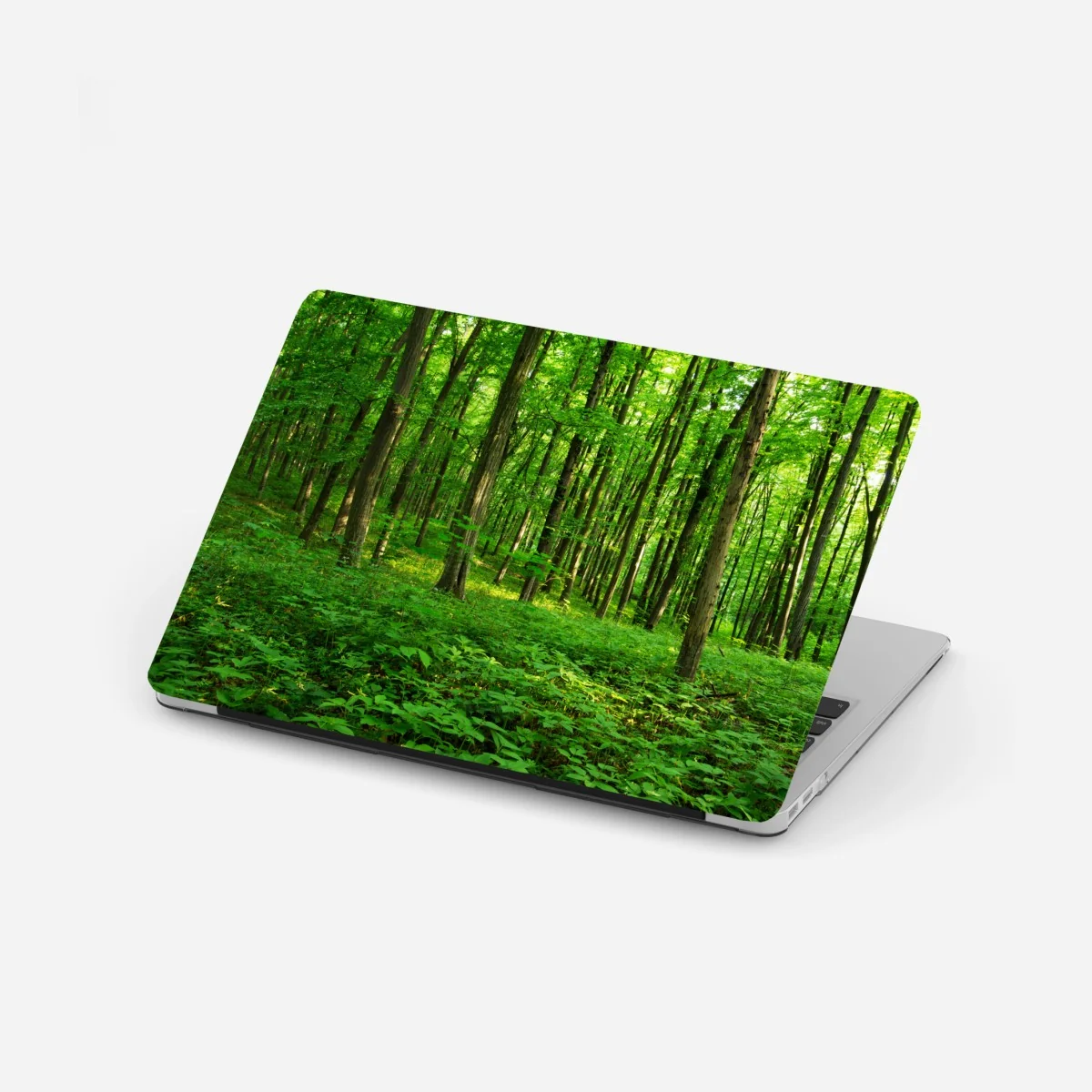 Laptop-Aufkleber sonniger grüner wald im frühling – Wallnifity®