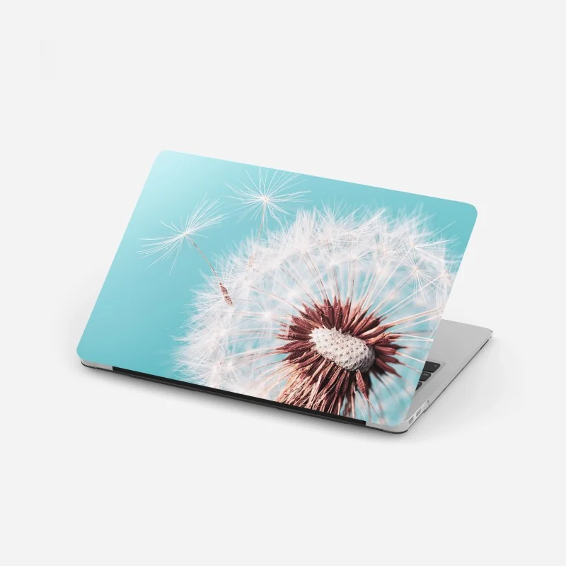 Laptop-Aufkleber zarter löwenzahn vor türkisfarbenem hintergrund