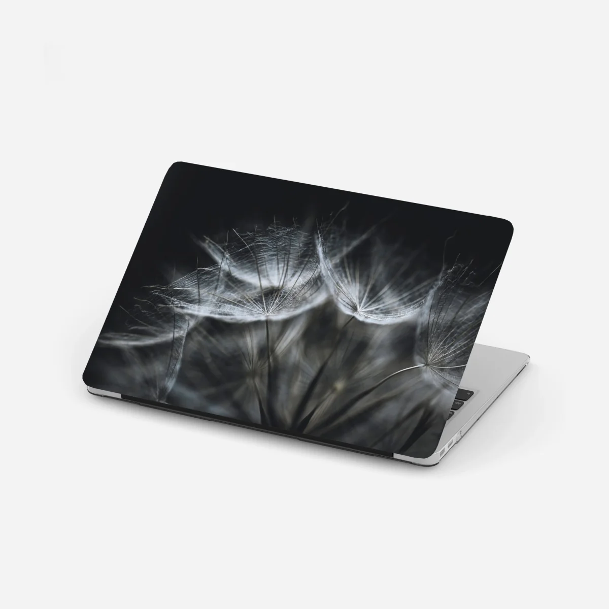 Laptop-Aufkleber zarte löwenzahnsamen in monochrom – Wallnifity®