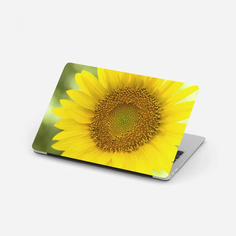 Laptop-Aufkleber leuchtende nahaufnahme sonnenblume