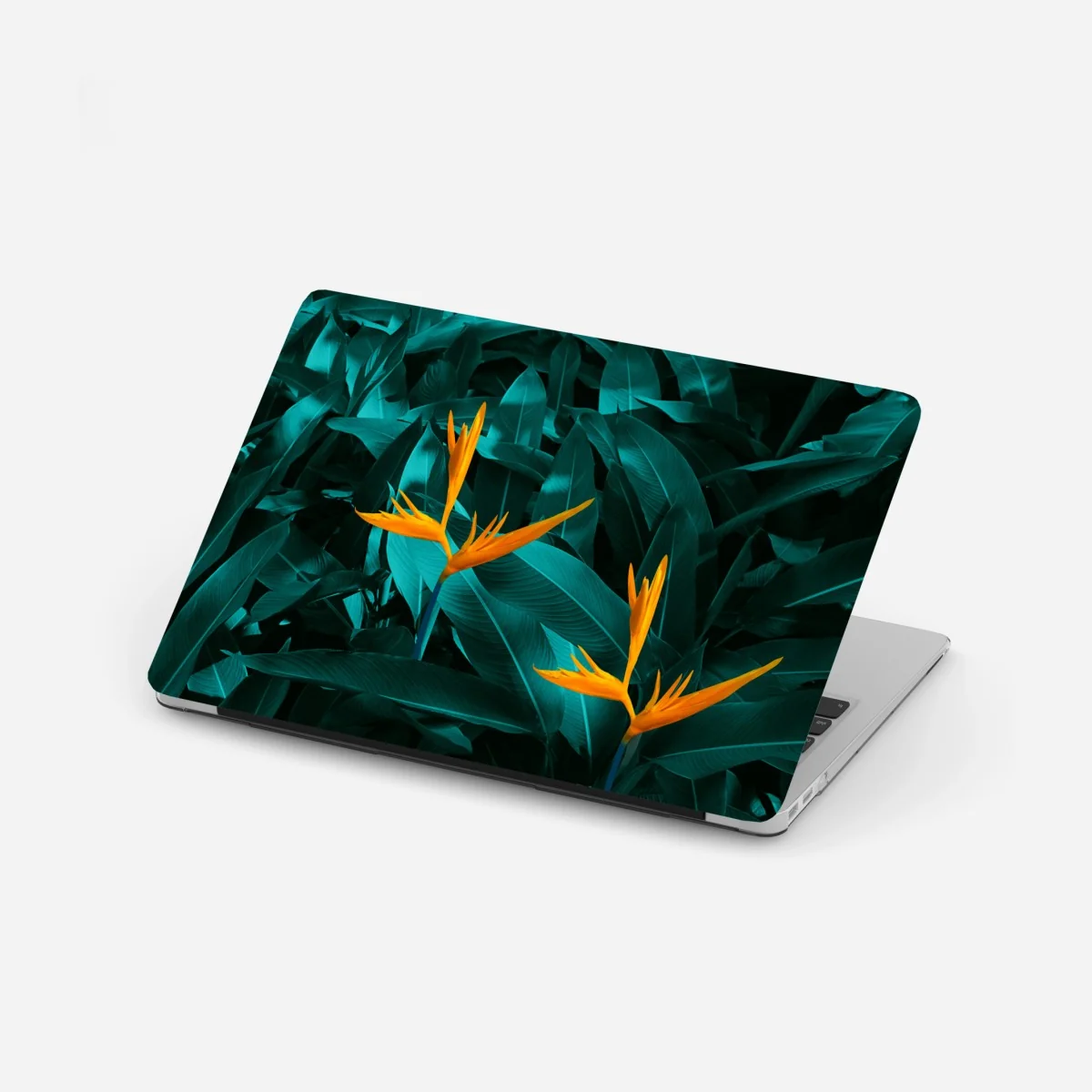 Laptop-Aufkleber tropische strelitzie auf türkisfarbenen blättern – Wallnifity® Laptop-Aufkleber tropische strelitzie auf türkisfarbenen blättern – Wallnifity®