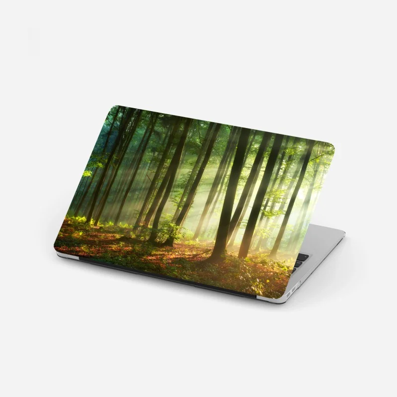 Laptop-Aufkleber moosiger waldbach panorama – Wallnifity®