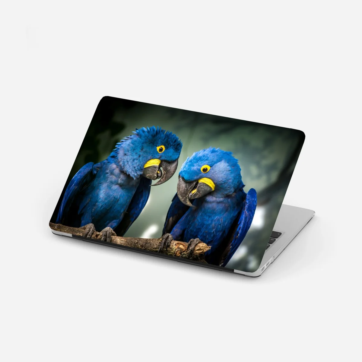 Laptop-Aufkleber paar blauer aras - nahaufnahme – Wallnifity®