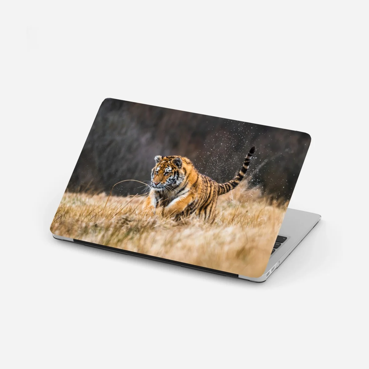 Laptop-Aufkleber sibirischer tiger in bewegung – Wallnifity® Laptop-Aufkleber sibirischer tiger in bewegung – Wallnifity®