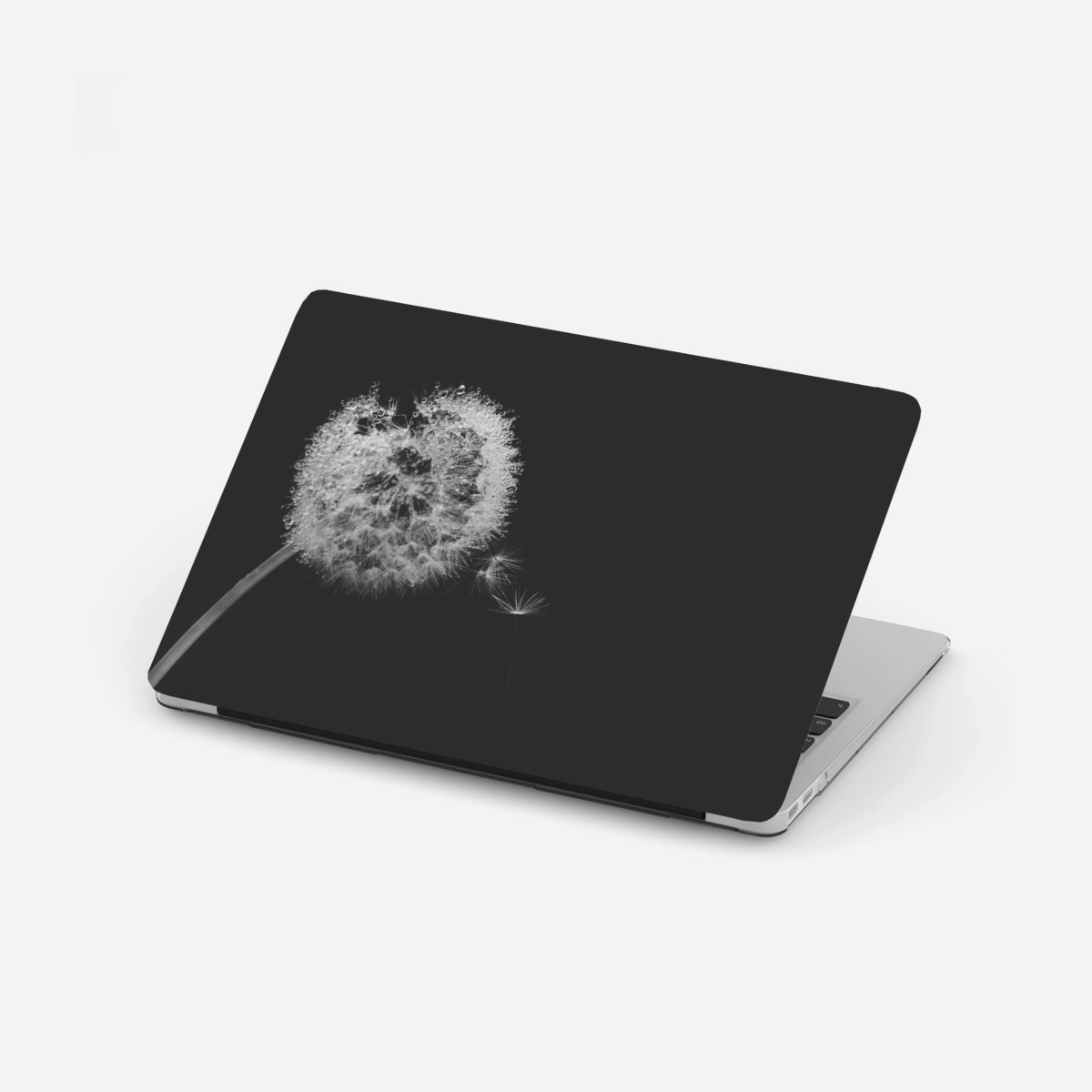 Laptop-Aufkleber zarter löwenzahn in monochrom – Wallnifity®