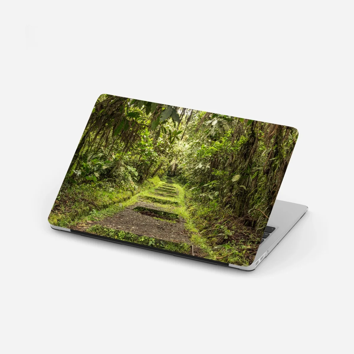 Laptop-Aufkleber pfad durch üppigen dschungel – Wallnifity® Laptop-Aufkleber pfad durch üppigen dschungel – Wallnifity®