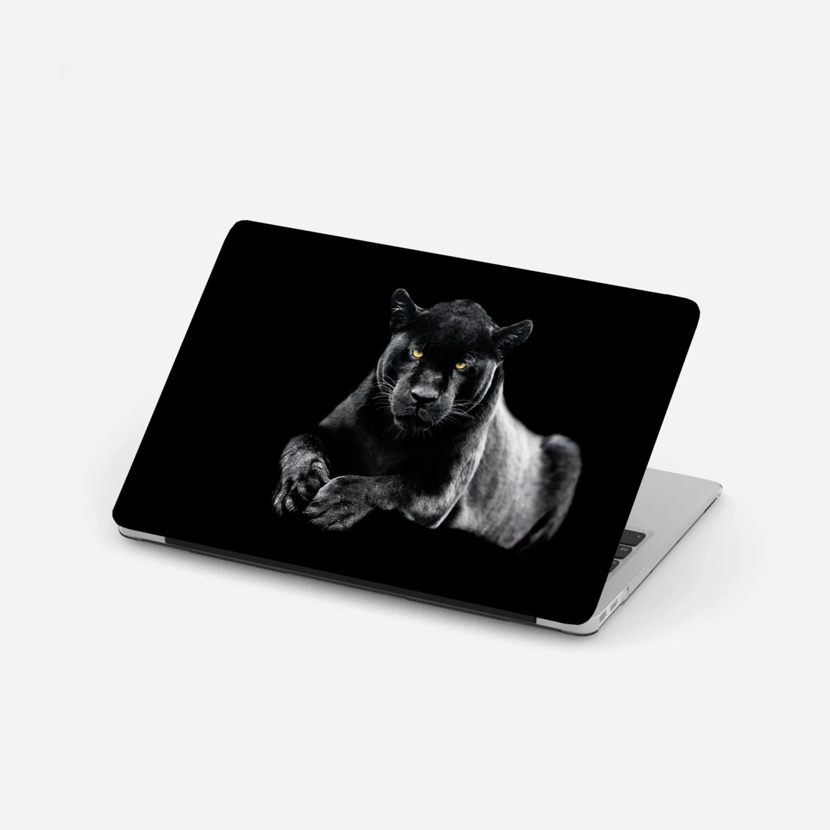 Laptop-Aufkleber porträt eines schwarzen panthers vor schwarzem hintergrund – Wallnifity® Laptop-Aufkleber porträt eines schwarzen panthers vor schwarzem hintergrund – Wallnifity®
