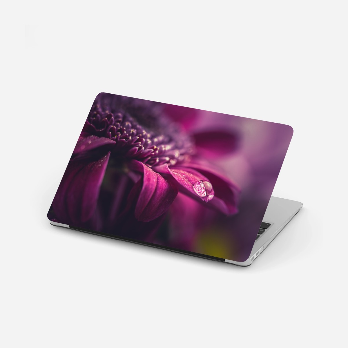 Laptop-Aufkleber lila makroblüte mit tautropfen – Wallnifity®