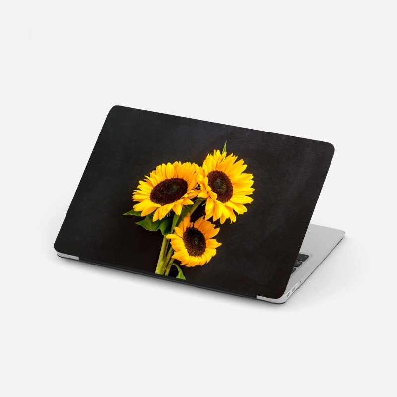 Laptop-Aufkleber bunte gewürze und kräuter auf holz – Wallnifity®