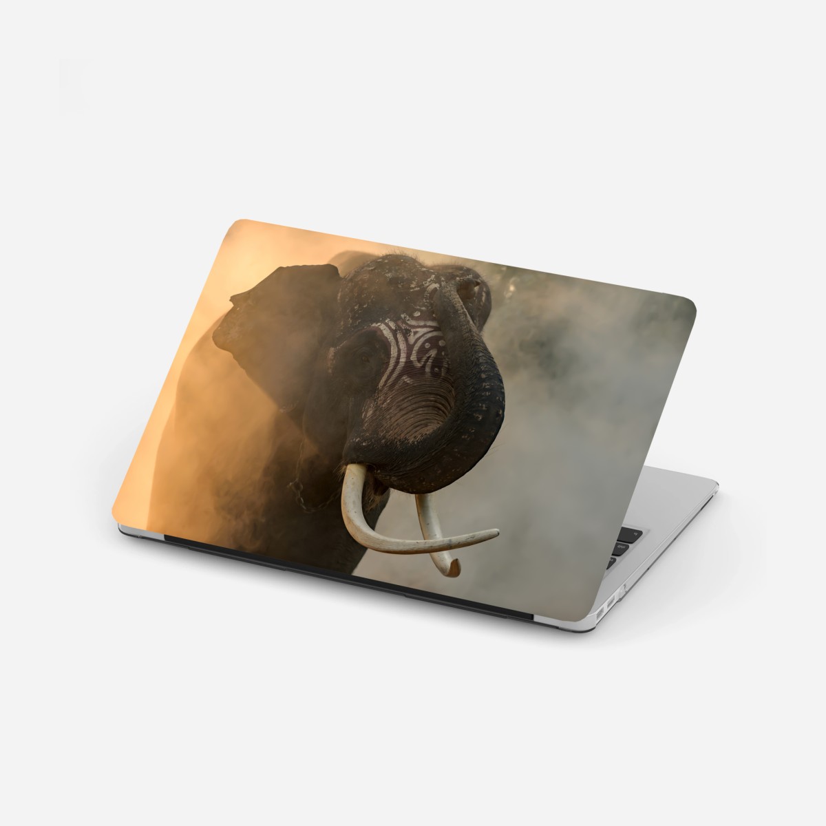 Laptop-Aufkleber majestätischer Thai-elefant mit stoßzähnen – Wallnifity®