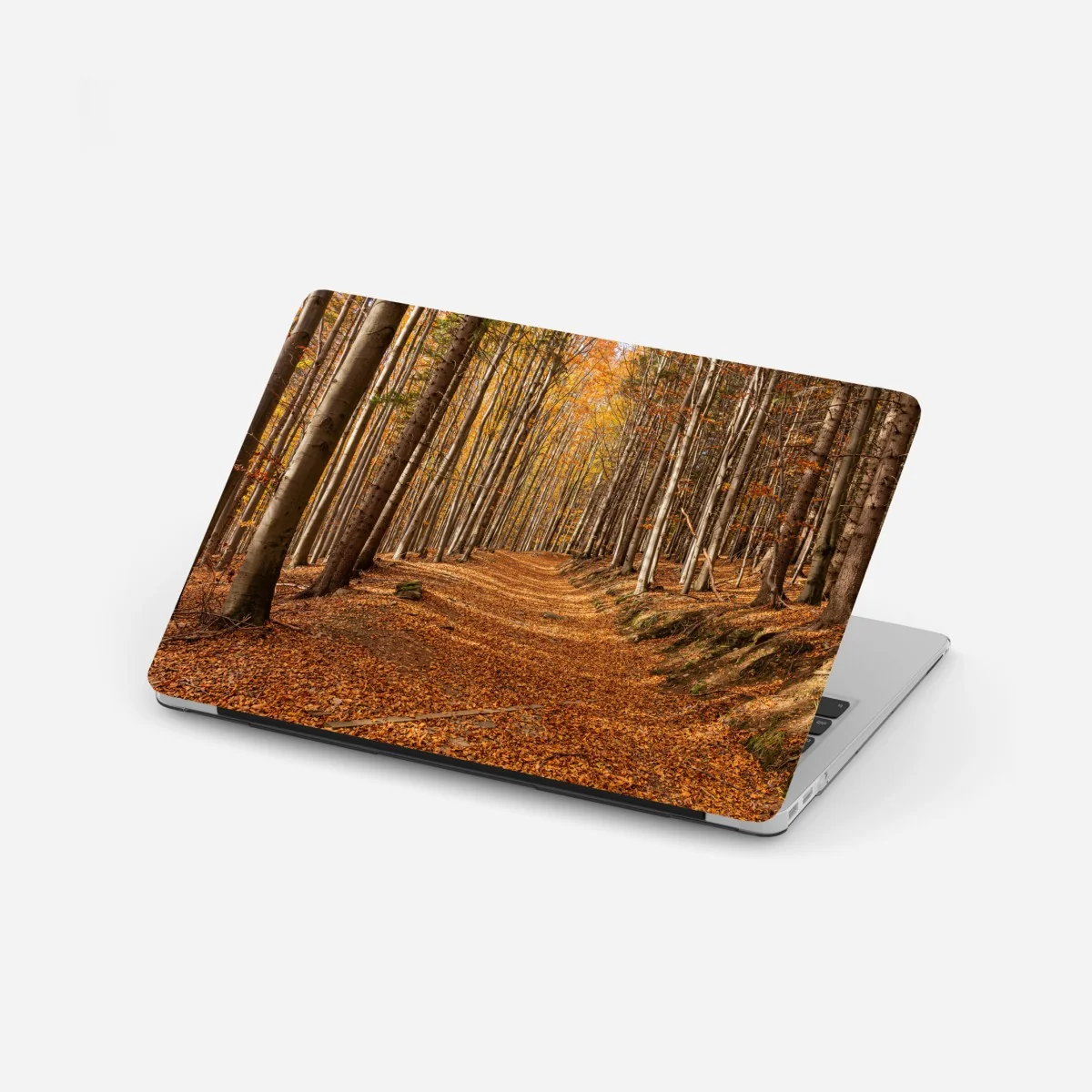 Laptop-Aufkleber herbstlicher waldweg mit goldenen blättern – Wallnifity® Laptop-Aufkleber herbstlicher waldweg mit goldenen blättern – Wallnifity®