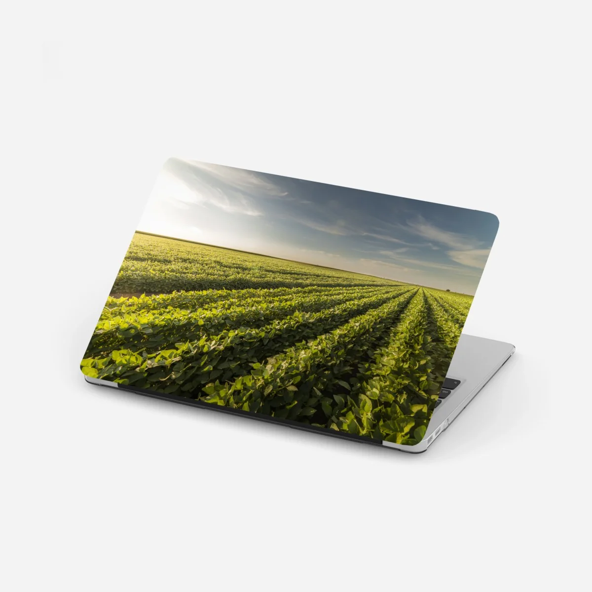 Laptop-Aufkleber sonnenbeschienenes sojafeld bei sonnenuntergang – Wallnifity® Laptop-Aufkleber sonnenbeschienenes sojafeld bei sonnenuntergang – Wallnifity®