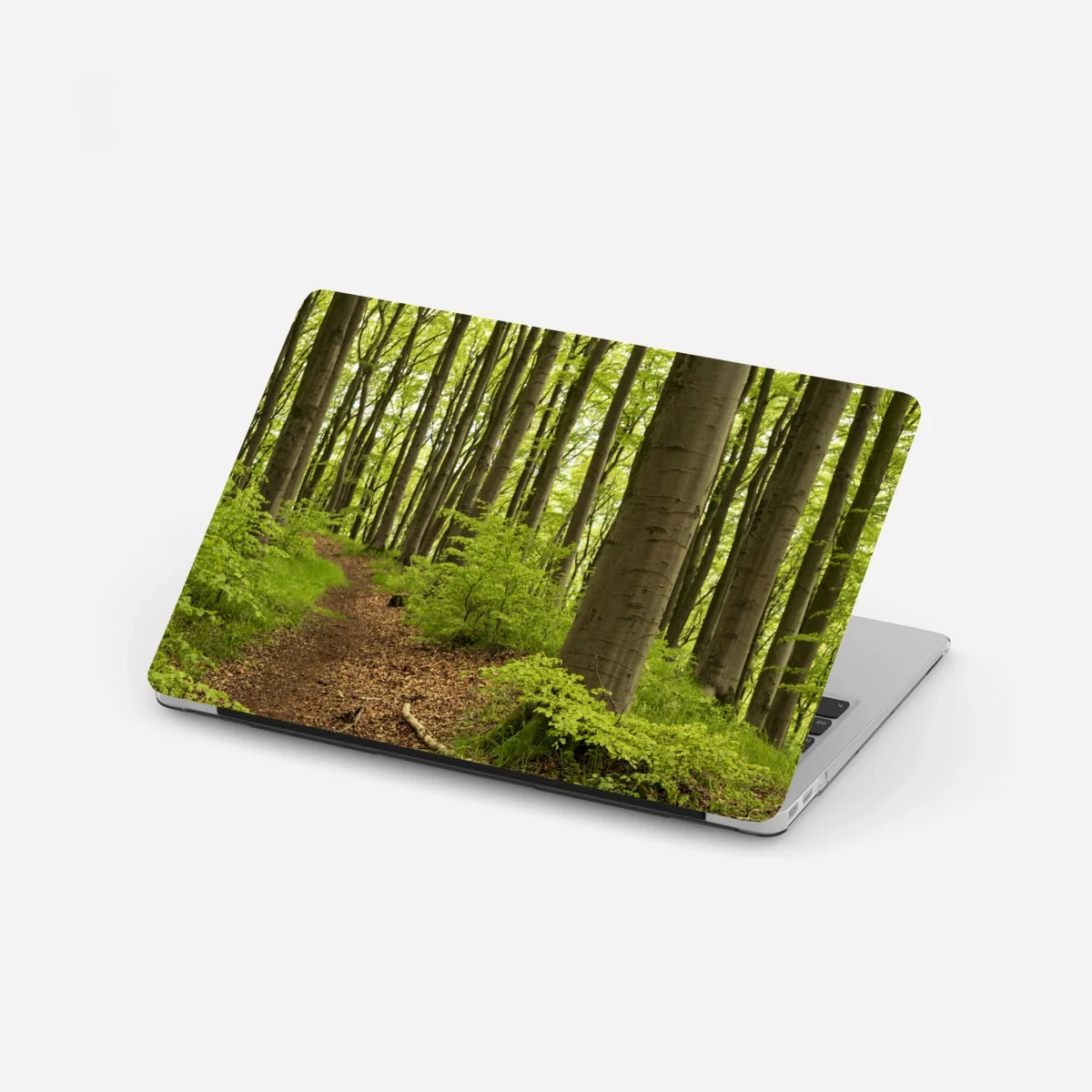 Laptop-Aufkleber ruhiger grüner waldweg – Wallnifity® Laptop-Aufkleber ruhiger grüner waldweg – Wallnifity®