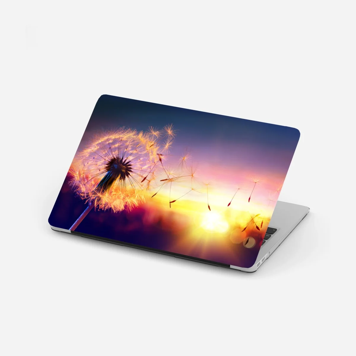 Laptop-Aufkleber goldener löwenzahn bei sonnenuntergang – Wallnifity®