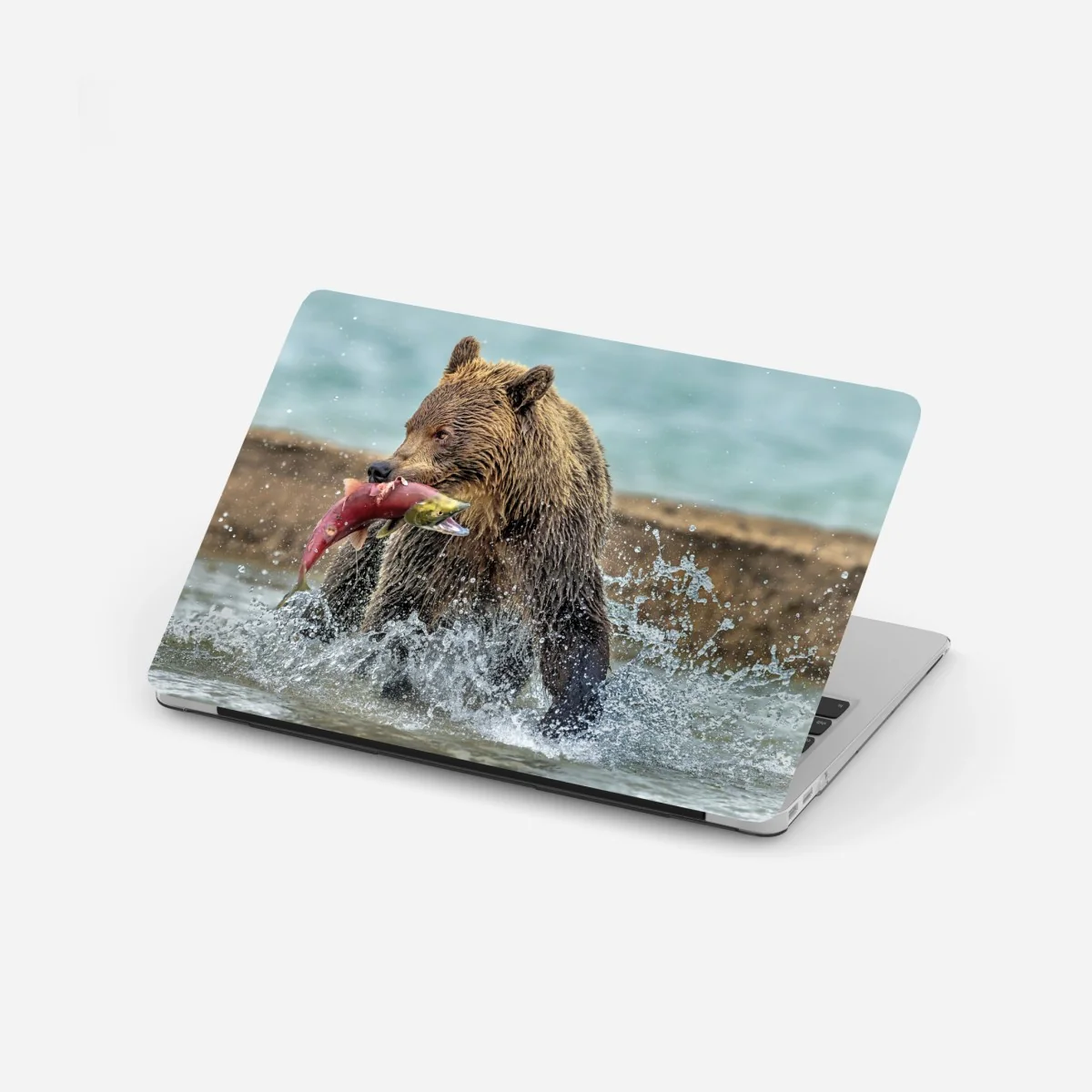 Laptop-Aufkleber braunbär fängt lachs im fluss – Wallnifity®