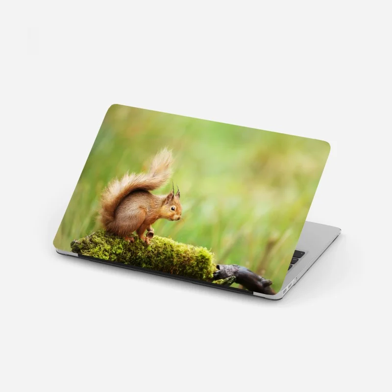 Laptop-Aufkleber ruhige wolkenlandschaft aus der luft – Wallnifity®