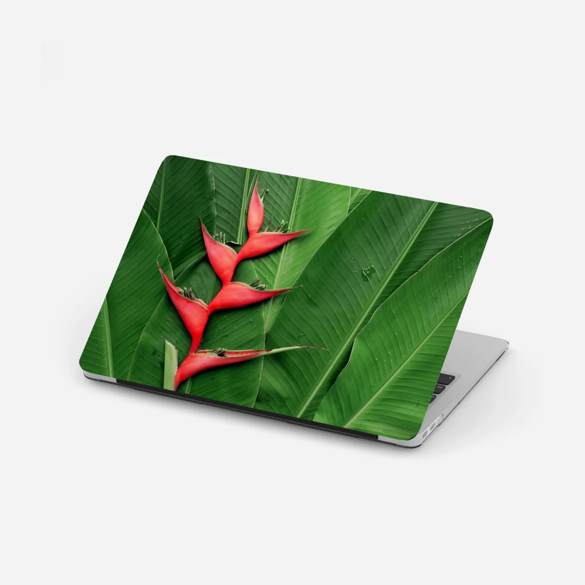 Laptop-Aufkleber leuchtende heliconia auf tropischen blättern – Wallnifity® Laptop-Aufkleber leuchtende heliconia auf tropischen blättern – Wallnifity®