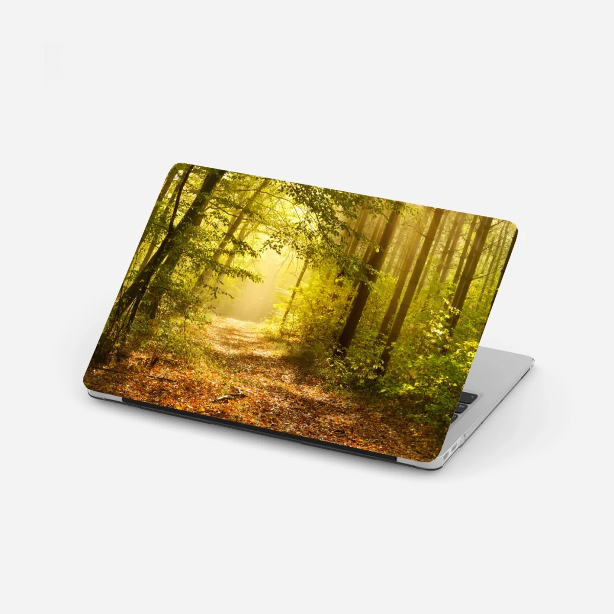 Laptop-Aufkleber sonnenbeschienener waldweg im herbst – Wallnifity® Laptop-Aufkleber sonnenbeschienener waldweg im herbst – Wallnifity®