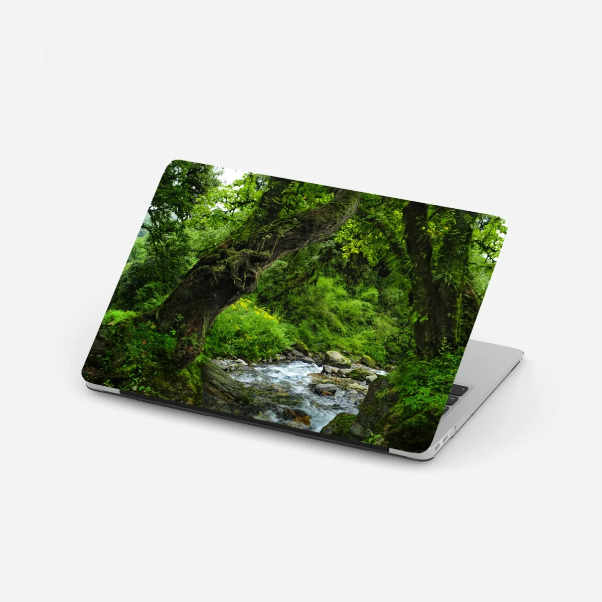 Laptop-Aufkleber moosiger waldbach panorama – Wallnifity® Laptop-Aufkleber moosiger waldbach panorama – Wallnifity®