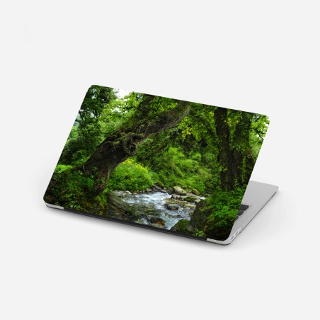Laptop-Aufkleber moosiger waldbach panorama – Wallnifity®