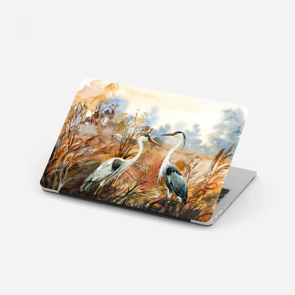 Laptop-Aufkleber zwei reiher im herbstlichen sumpf – Wallnifity® Laptop-Aufkleber zwei reiher im herbstlichen sumpf – Wallnifity®