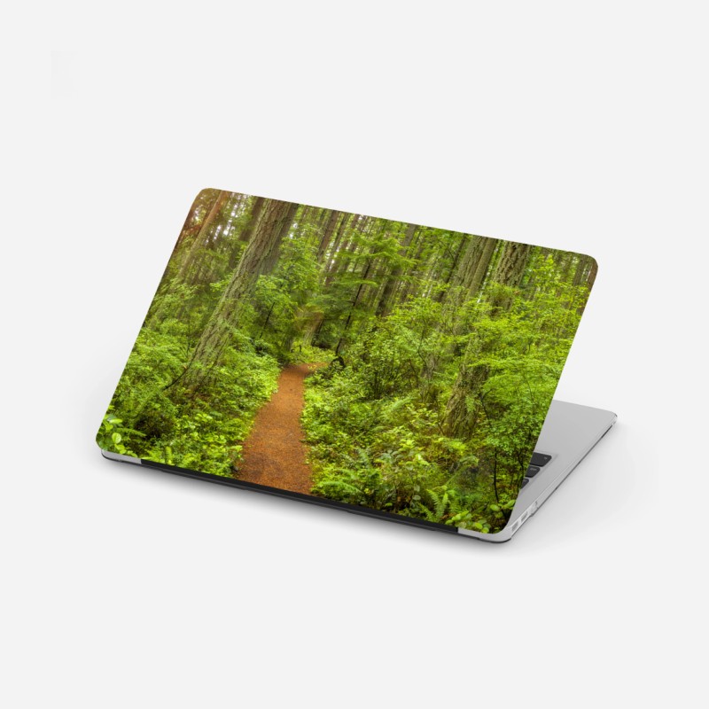 Laptop-Aufkleber friedlicher waldpfad