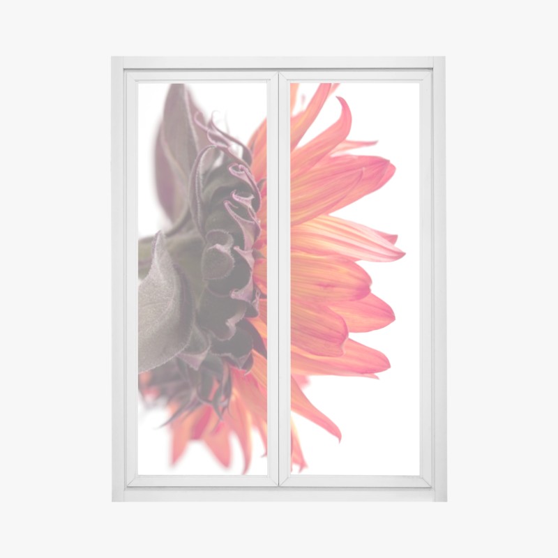 Fensteraufkleber pastell tropisches blattmuster – Wallnifity®