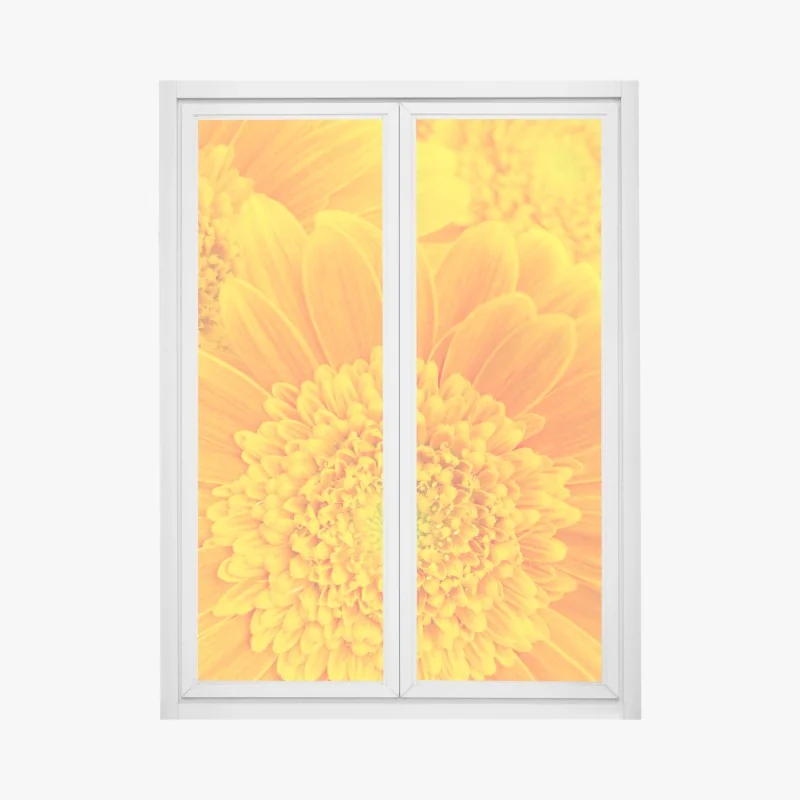 Fensteraufkleber intensive orange gerbera nahaufnahme