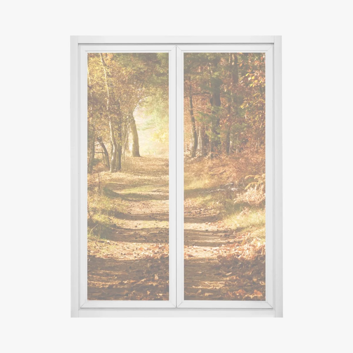 Fensteraufkleber herbstlicher waldweg mit goldenem licht – Wallnifity®