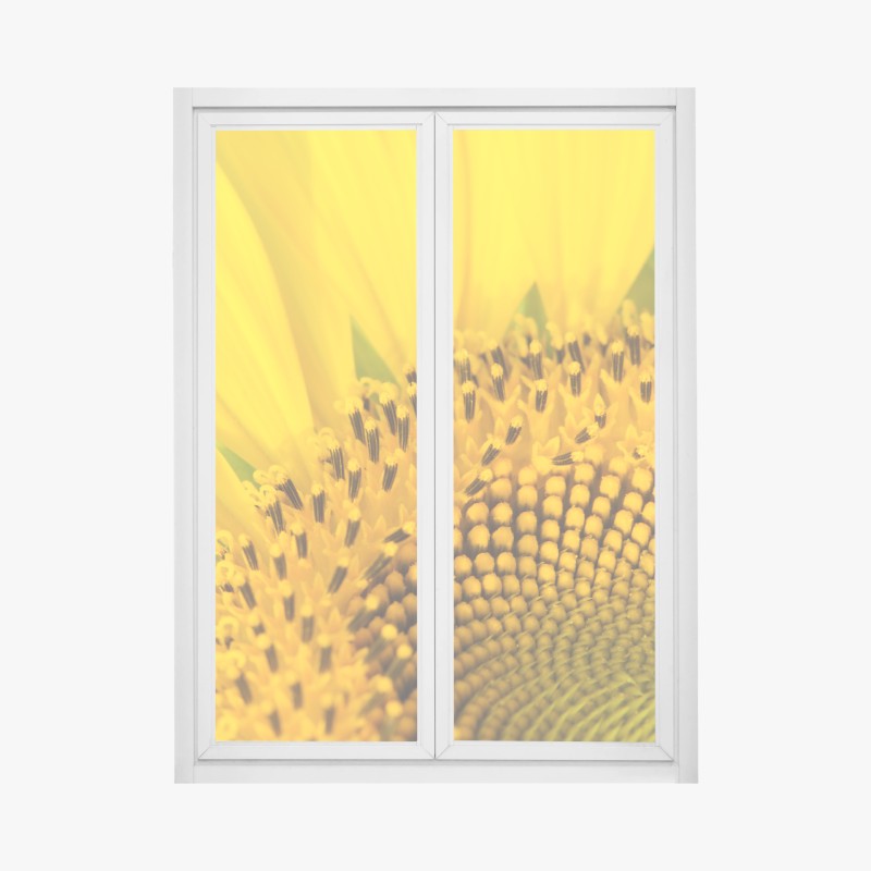 Fensteraufkleber tropischer strand auf Mahé – Wallnifity®