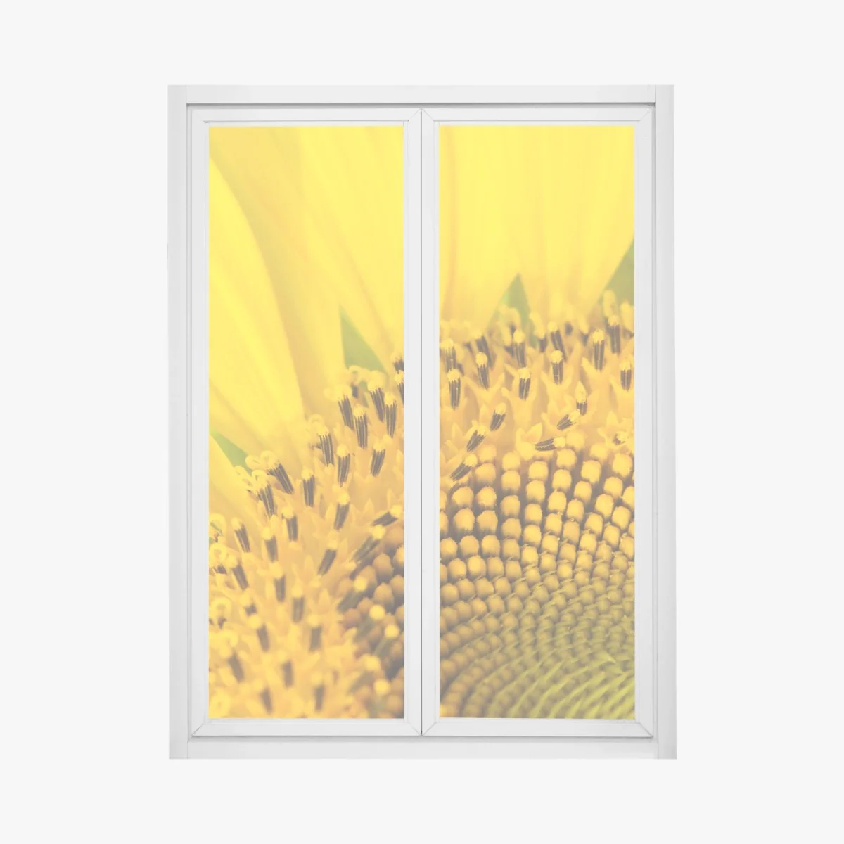 Fensteraufkleber goldene sonnenblume nahaufnahme – Wallnifity® Fensteraufkleber goldene sonnenblume nahaufnahme – Wallnifity®