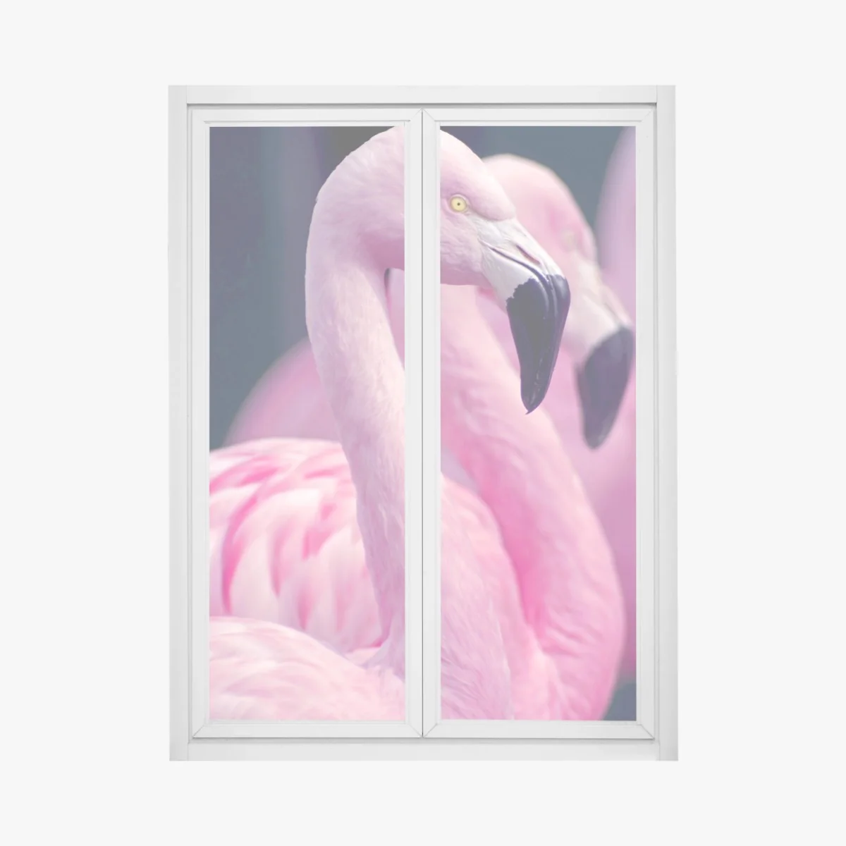 Fensteraufkleber anmutiges rosa flamingo-porträt – Wallnifity® Fensteraufkleber anmutiges rosa flamingo-porträt – Wallnifity®