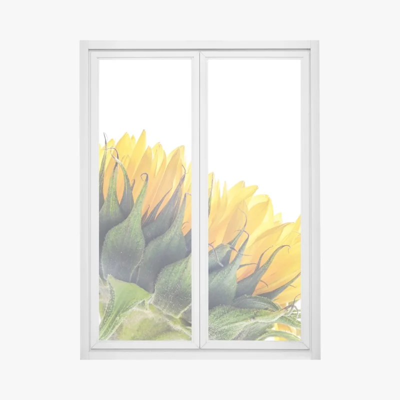 Fensteraufkleber sonnenblume in der ecke auf weißem hintergrund