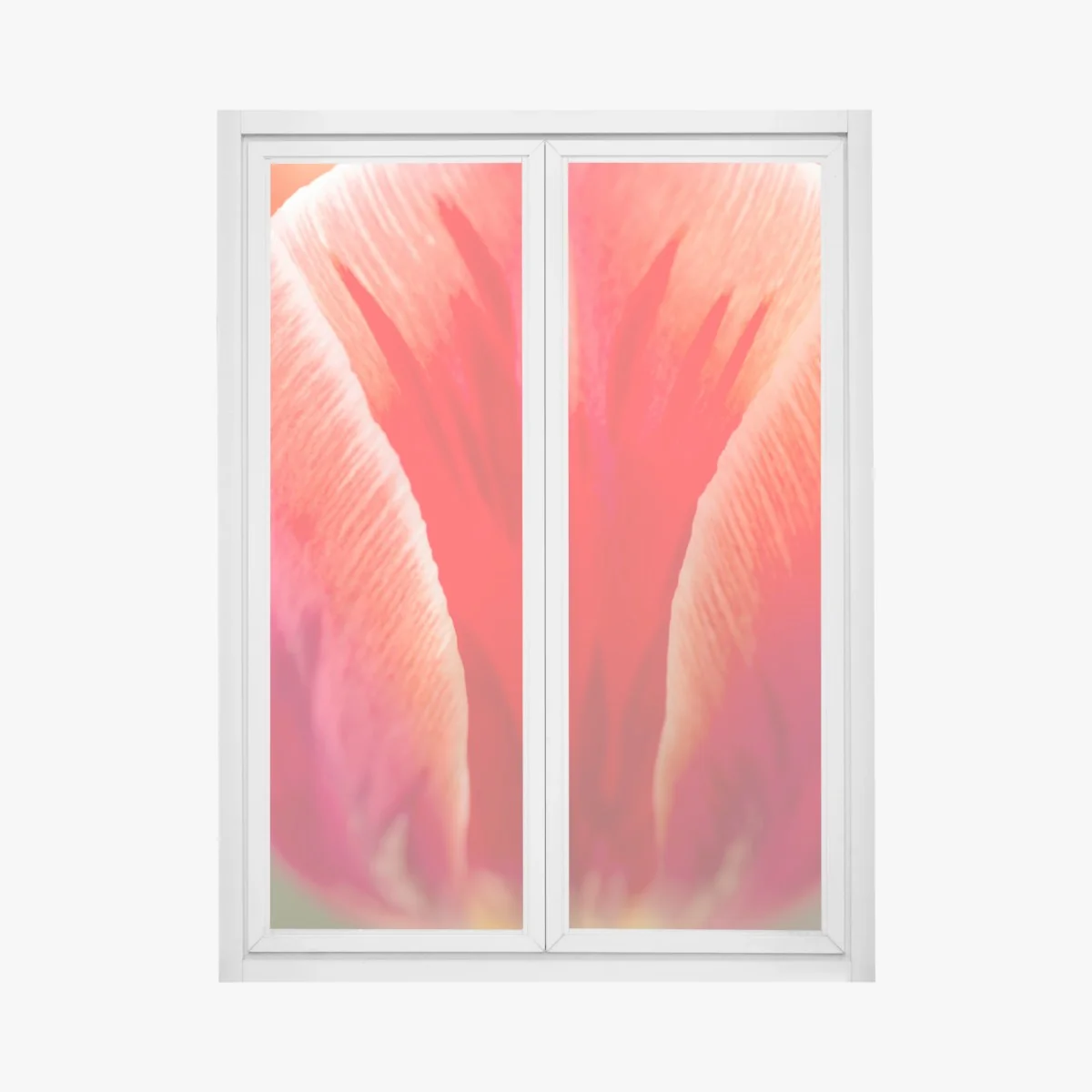 Fensteraufkleber leuchtende rote tulpen nahaufnahme – Wallnifity®