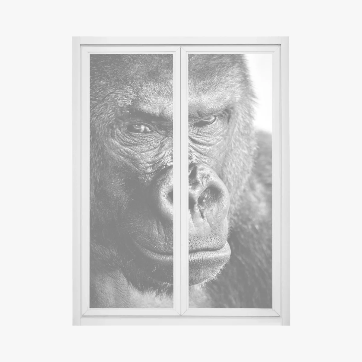 Fensteraufkleber intensives gorilla-porträt in schwarzweiß – Wallnifity® Fensteraufkleber intensives gorilla-porträt in schwarzweiß – Wallnifity®