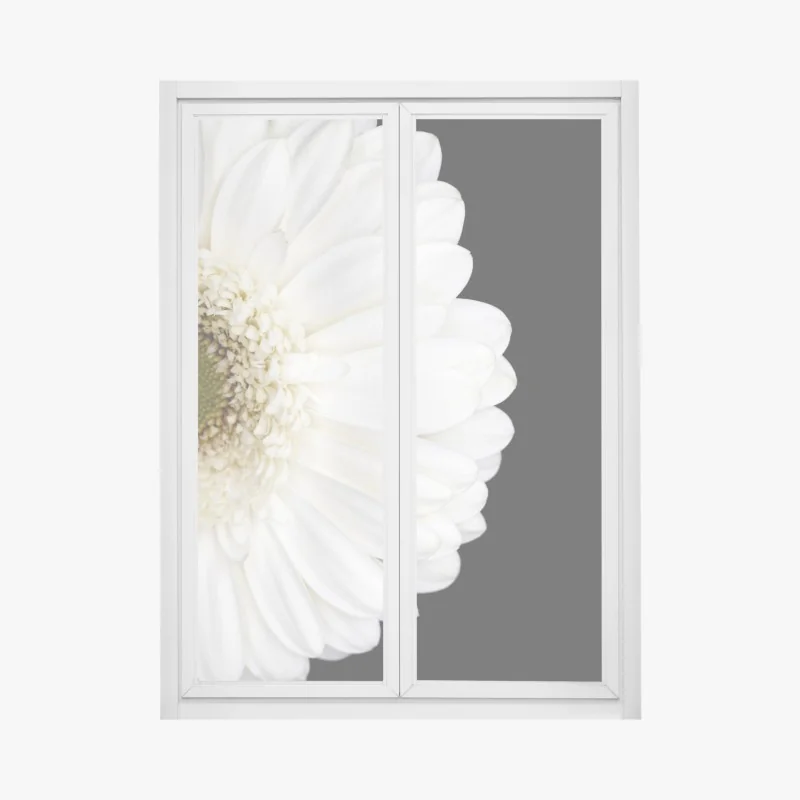 Fensteraufkleber weiße gerbera auf schwarzem hintergrund minimalistische nahaufnahme
