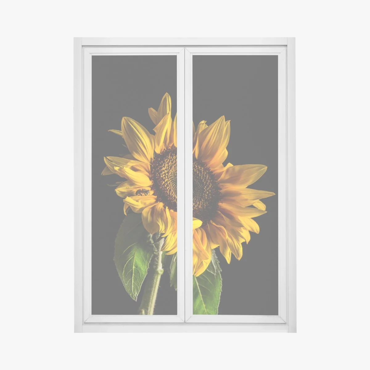 Fensteraufkleber goldene sonnenblume in nahaufnahme – Wallnifity® Fensteraufkleber goldene sonnenblume in nahaufnahme – Wallnifity®