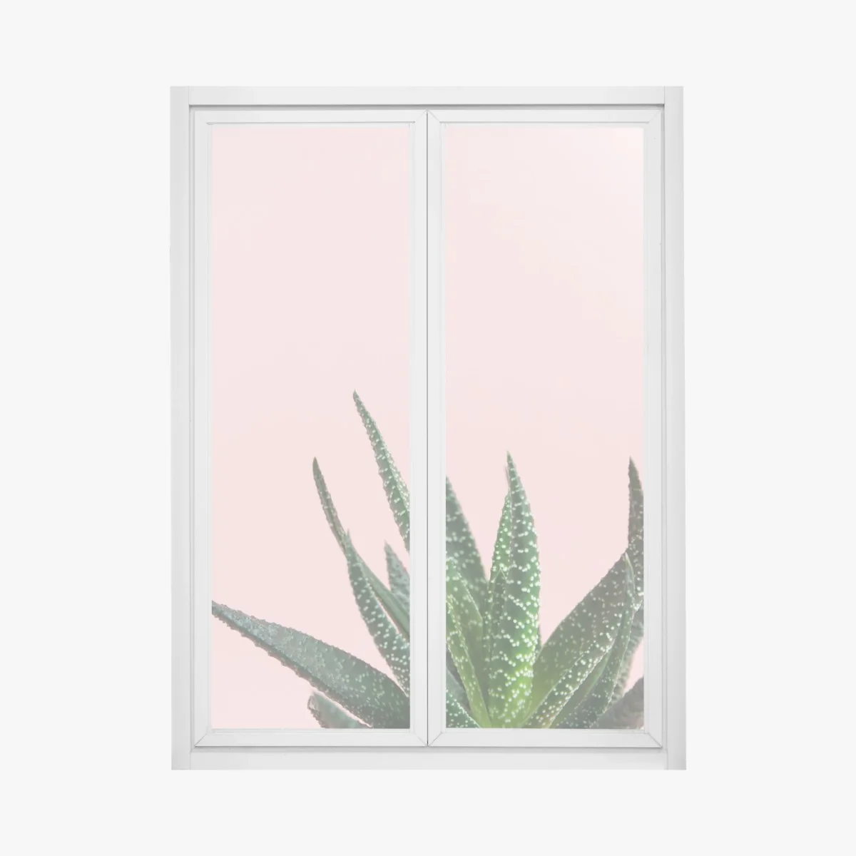 Fensteraufkleber grüner aloes auf rosa hintergrund – Wallnifity®