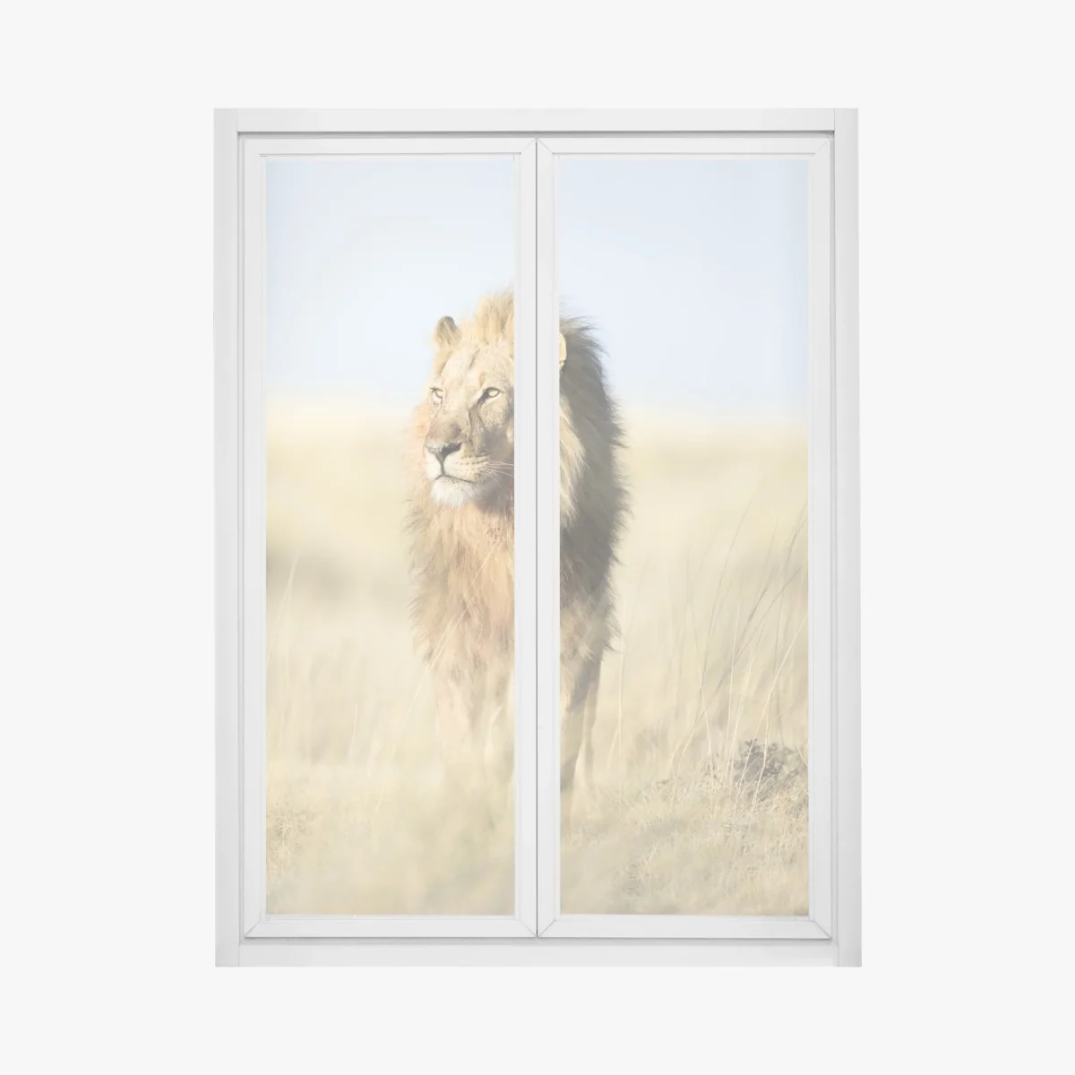 Fensteraufkleber majestätischer löwe in der steppe – Wallnifity®