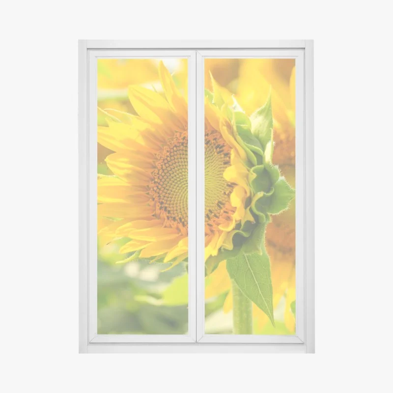 Fensteraufkleber sonnenblume nahaufnahme