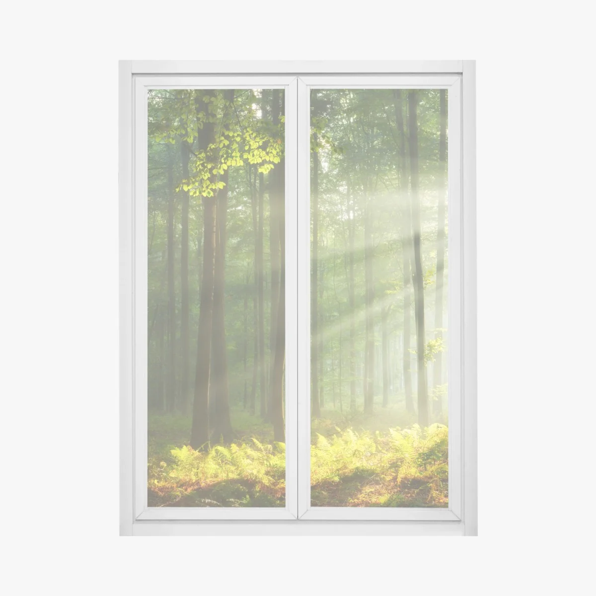 Fensteraufkleber sonniger morgenwald – Wallnifity® Fensteraufkleber sonniger morgenwald – Wallnifity®