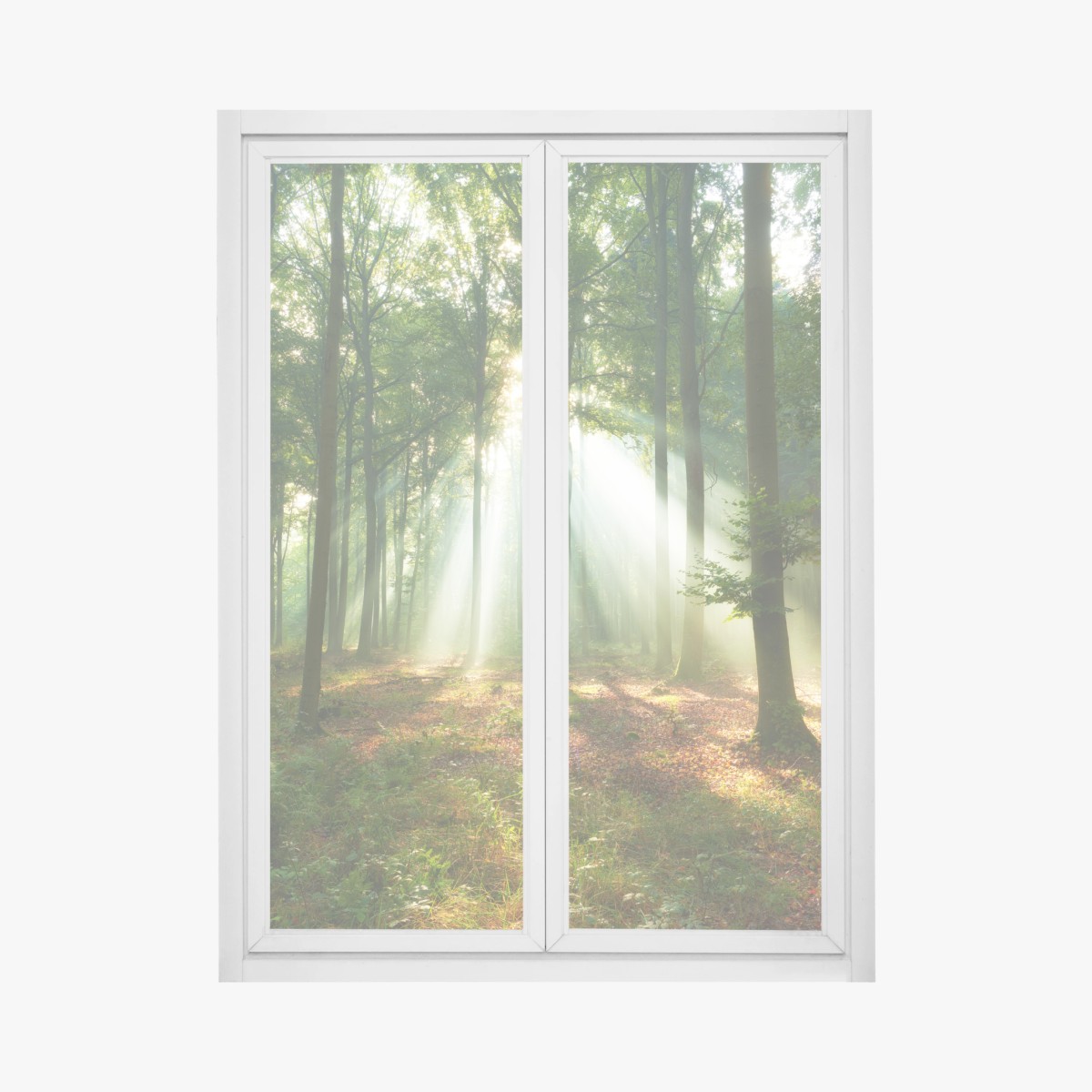 Fensteraufkleber morgendliches licht im wald – Wallnifity® Fensteraufkleber morgendliches licht im wald – Wallnifity®