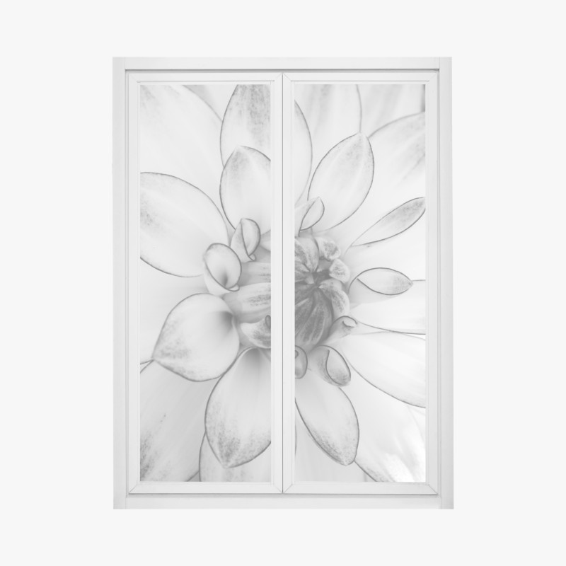 Fensteraufkleber zarte makroaufnahme eines löwenzahnsamens – Wallnifity®