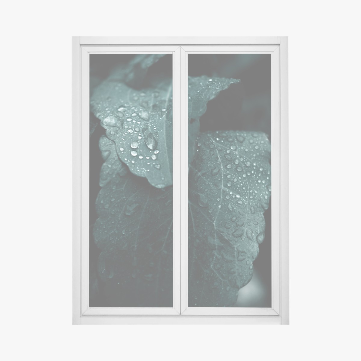 Fensteraufkleber tautropfen auf blättern – Wallnifity® Fensteraufkleber tautropfen auf blättern – Wallnifity®