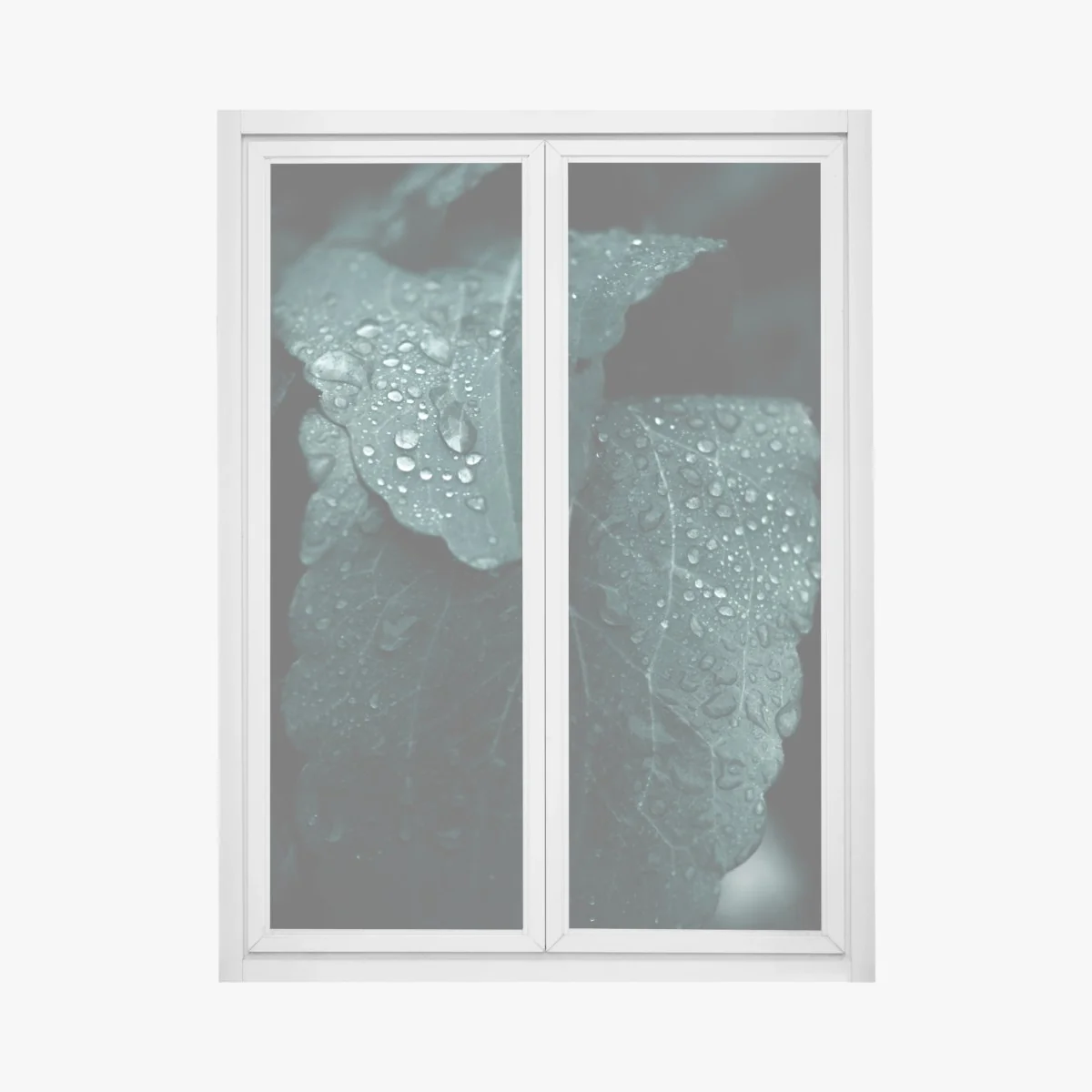 Fensteraufkleber tautropfen auf blättern – Wallnifity® Fensteraufkleber tautropfen auf blättern – Wallnifity®