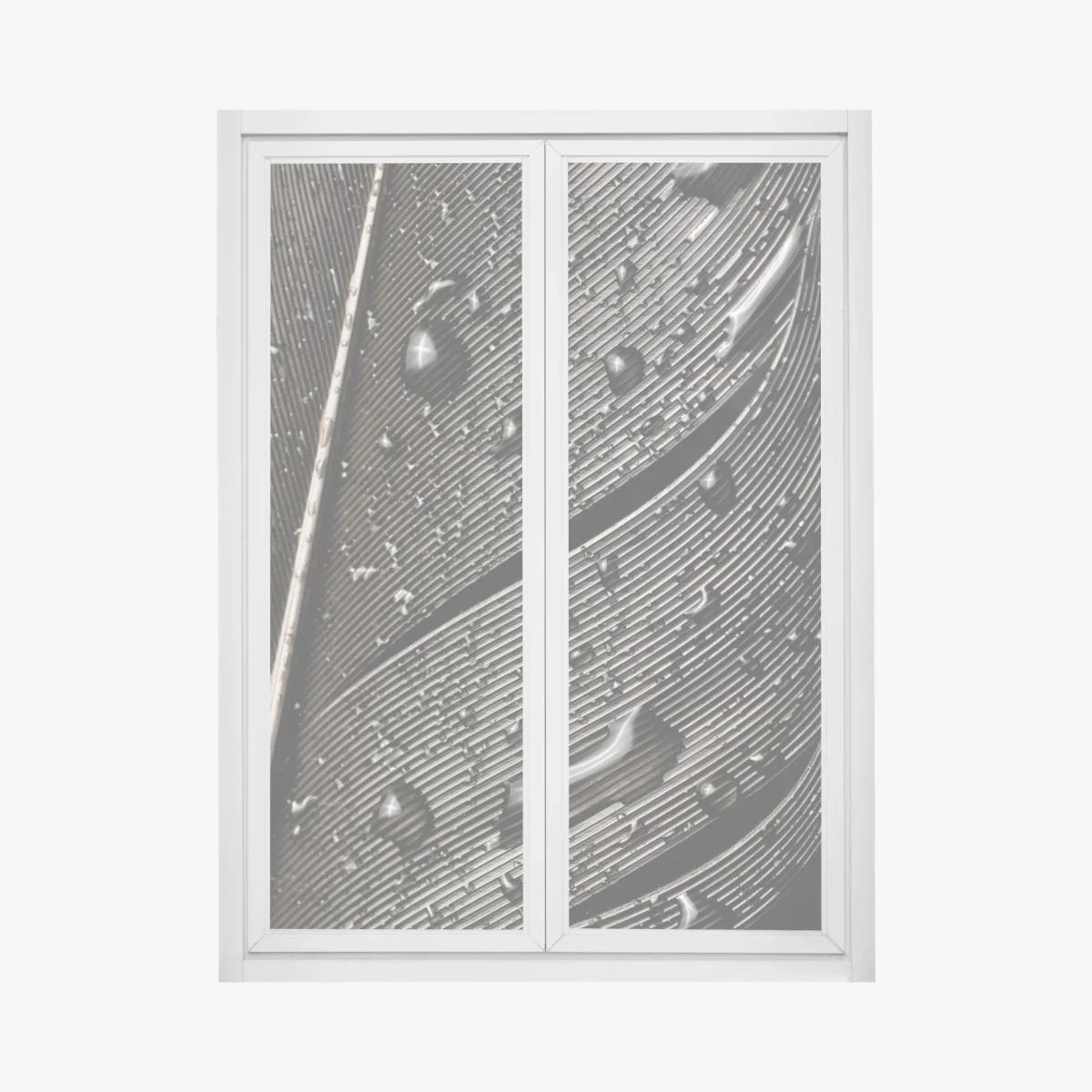 Fensteraufkleber monochrome feder mit wassertropfen – Wallnifity®