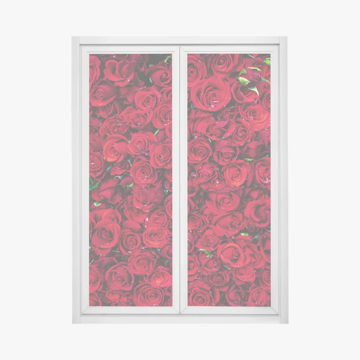 Fensteraufkleber dichte wand aus roten rosen – Wallnifity® Fensteraufkleber dichte wand aus roten rosen – Wallnifity®