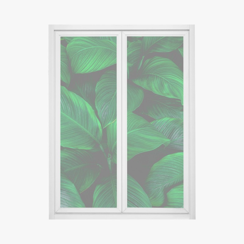 Fensteraufkleber sanftes eukalyptus aquarellmuster – Wallnifity®
