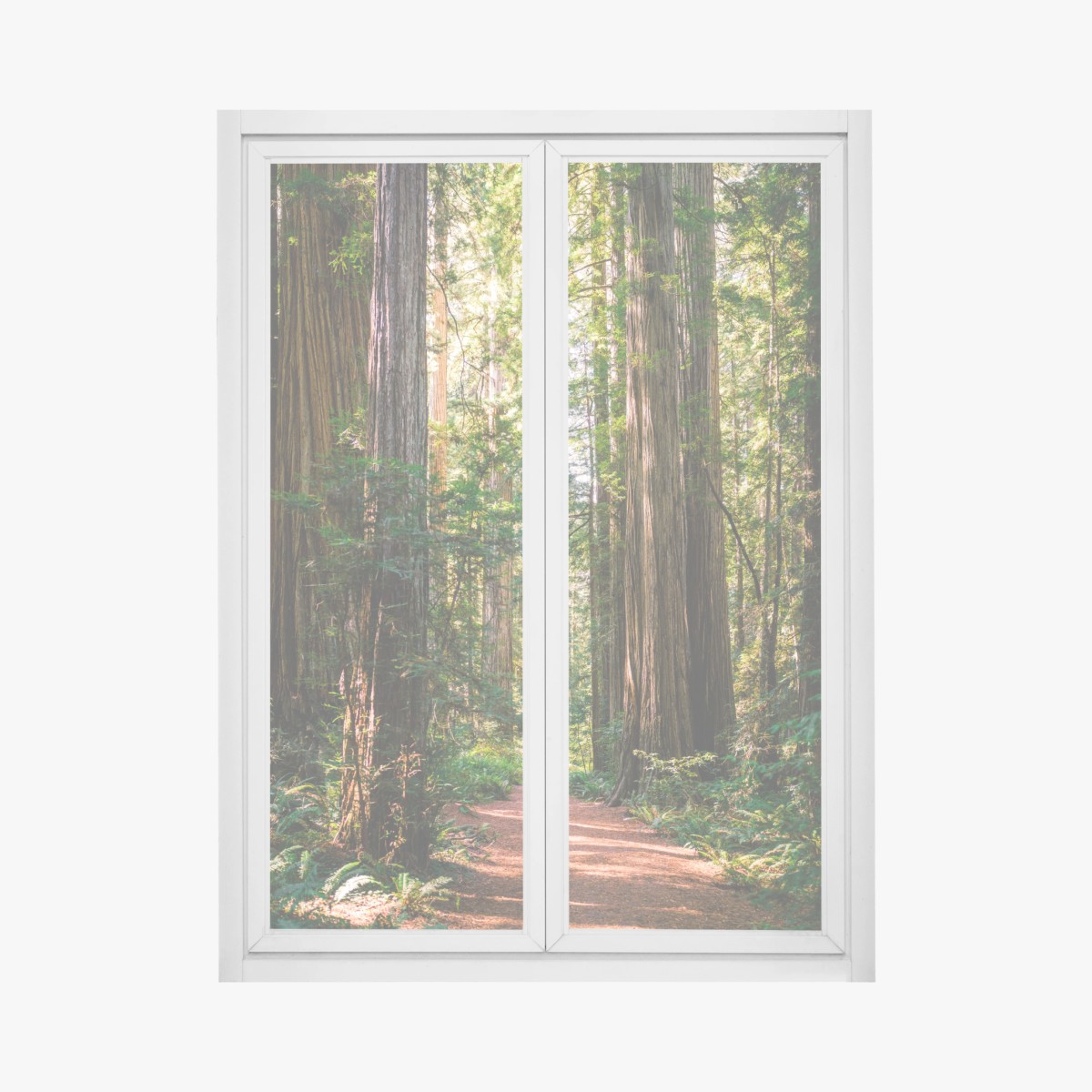 Fensteraufkleber majestätischer weg im sekwoienwald – Wallnifity® Fensteraufkleber majestätischer weg im sekwoienwald – Wallnifity®