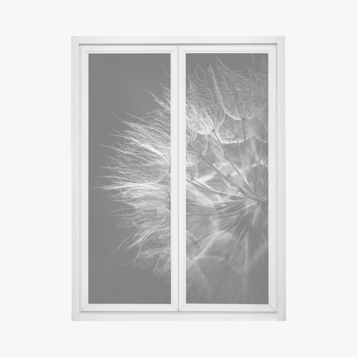 Fensteraufkleber zarter löwenzahn in monochrom – Wallnifity® Fensteraufkleber zarter löwenzahn in monochrom – Wallnifity®